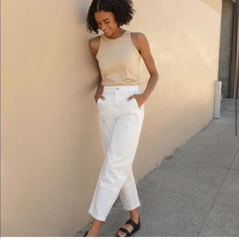 Everlane The Utility Barrel Pant
